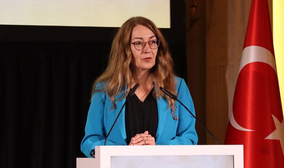Türkiye'nin Bern Büyükelçisi Emine Ece Özbayoğlu Acarsoy, İsviçre ile ülkesi