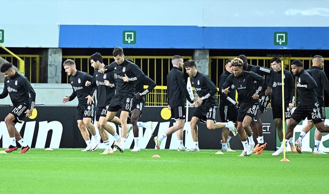 Beşiktaş Futbol Takımı, UEFA Avrupa Konferans Ligi D Grubu 2.
