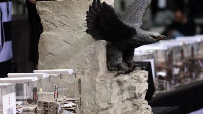 Beşiktaş Kulübünün olağanüstü seçimli genel kurul toplantısı 10 Aralık'ta gerçekleştirilecek.