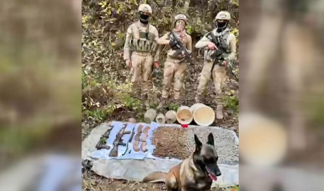 Bitlis'in Hizan ilçesinde terör örgütü PKK'ya yönelik operasyonda, araziye gizlenmiş