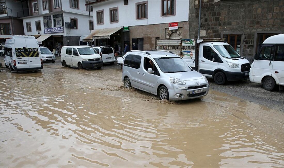 BITLIS (AA) – Gece başlayan ve sabah etkisini artıran sağanak,