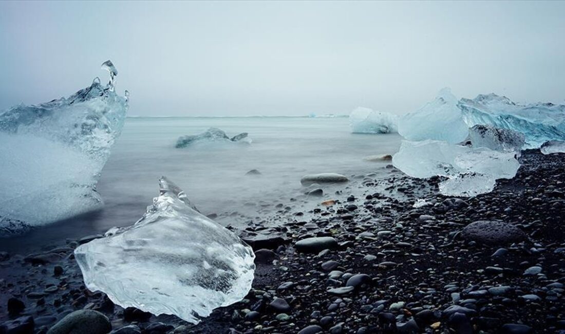 Birleşmiş Milletler Üniversitesi Çevre ve İnsan Güvenliği Enstitüsü (UNU-EHS), insanlığı