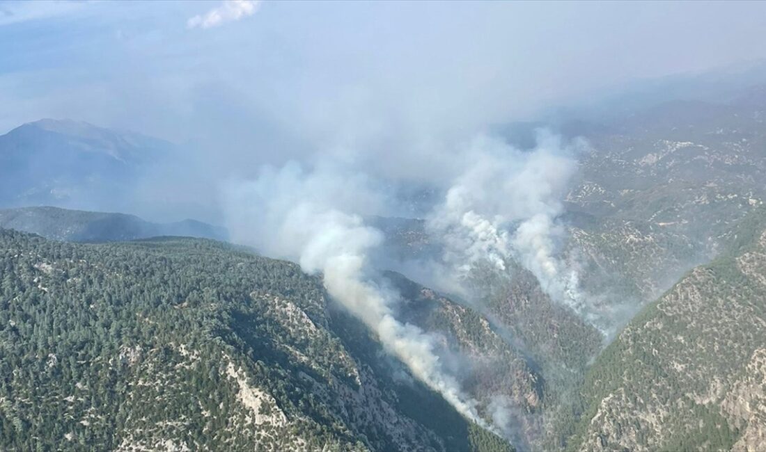 Burdur'un Altınyayla ilçesinde bulunan Karanlıkdere Kanyonu'ndaki ormanlık alanda 2 Ekim'de
