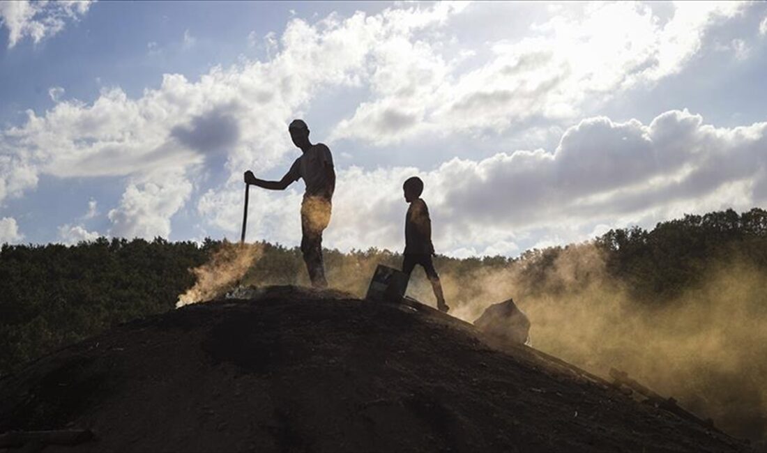 TBMM'ye sunulan 2024-2028 dönemine ilişkin 12. Kalkınma Planı'nda, çocuk işçiliğiyle