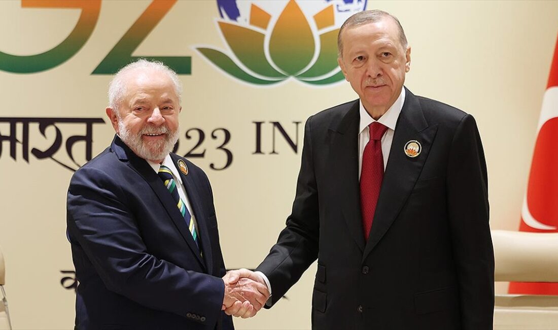 Cumhurbaşkanı Recep Tayyip Erdoğan, Brezilya Devlet Başkanı Luiz Inacio Lula