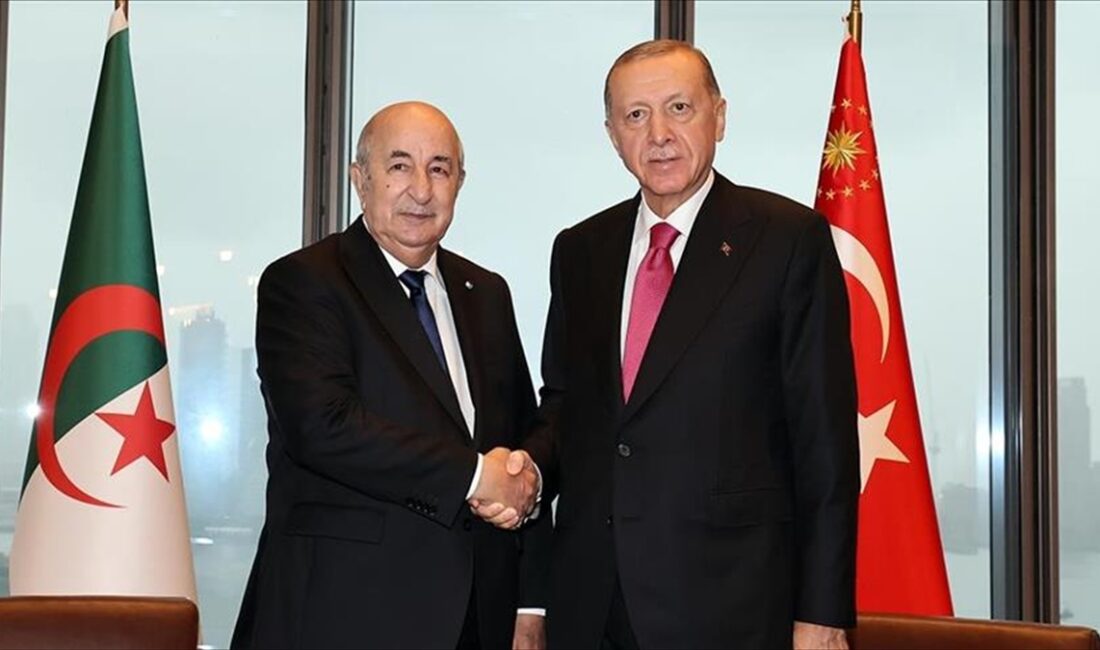 Cumhurbaşkanı Recep Tayyip Erdoğan, Cezayir Cumhurbaşkanı Abdülmecid Tebbun ile telefonda