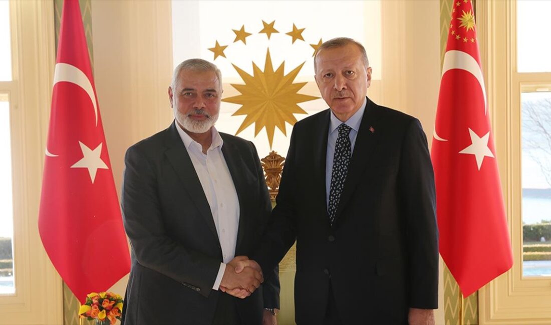 Cumhurbaşkanı Recep Tayyip Erdoğan, Hamas Siyasi Büro Başkanı İsmail Heniyye