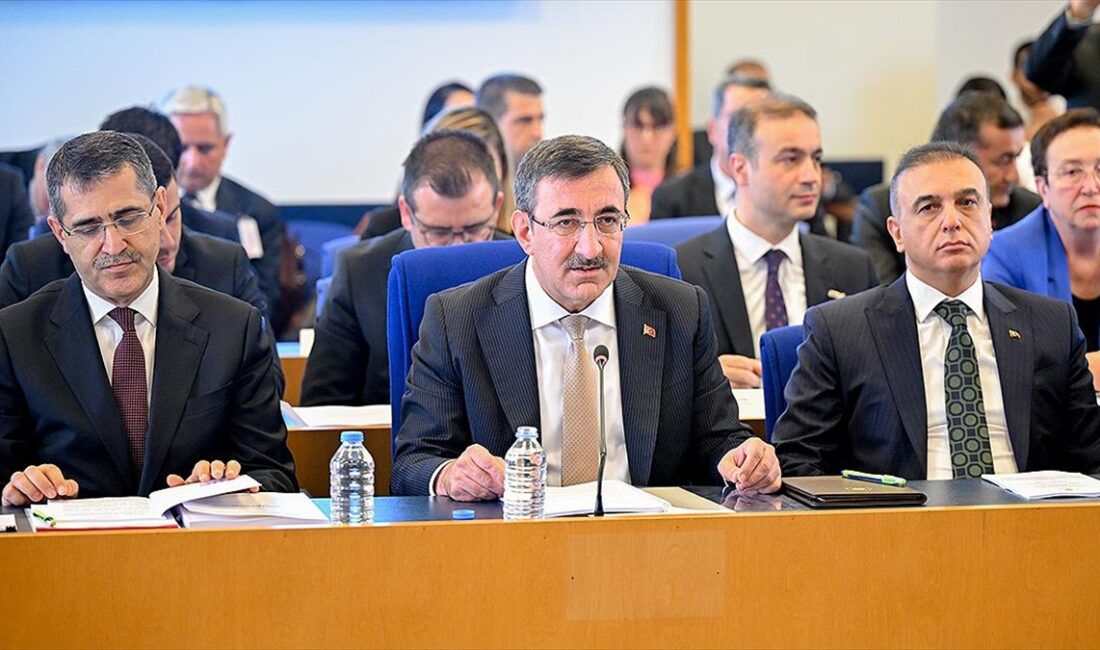 TBMM Plan ve Bütçe Komisyonunda 12. Kalkınma Planı'nı sunan Cevdet