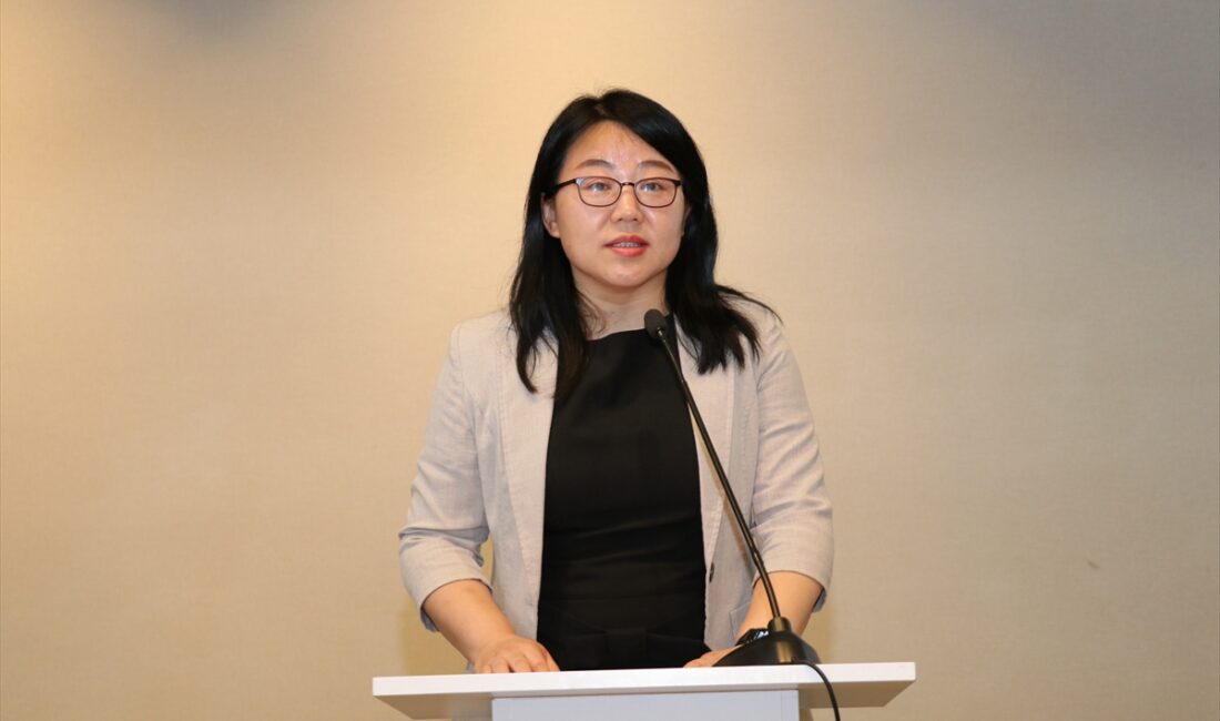 İSTANBUL (AA) – Havacılık ve navigasyon veri tabanı hizmeti sunan