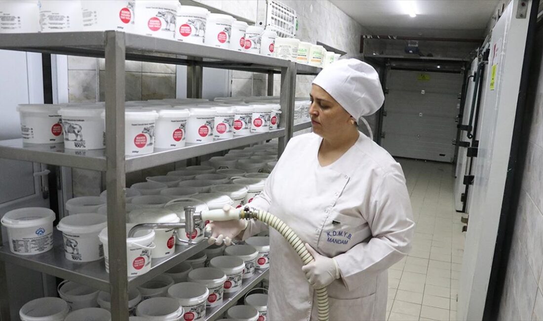 Kayseri Damızlık Manda Yetiştiricileri Birliği, atıl durumdaki köy konağını, devlet