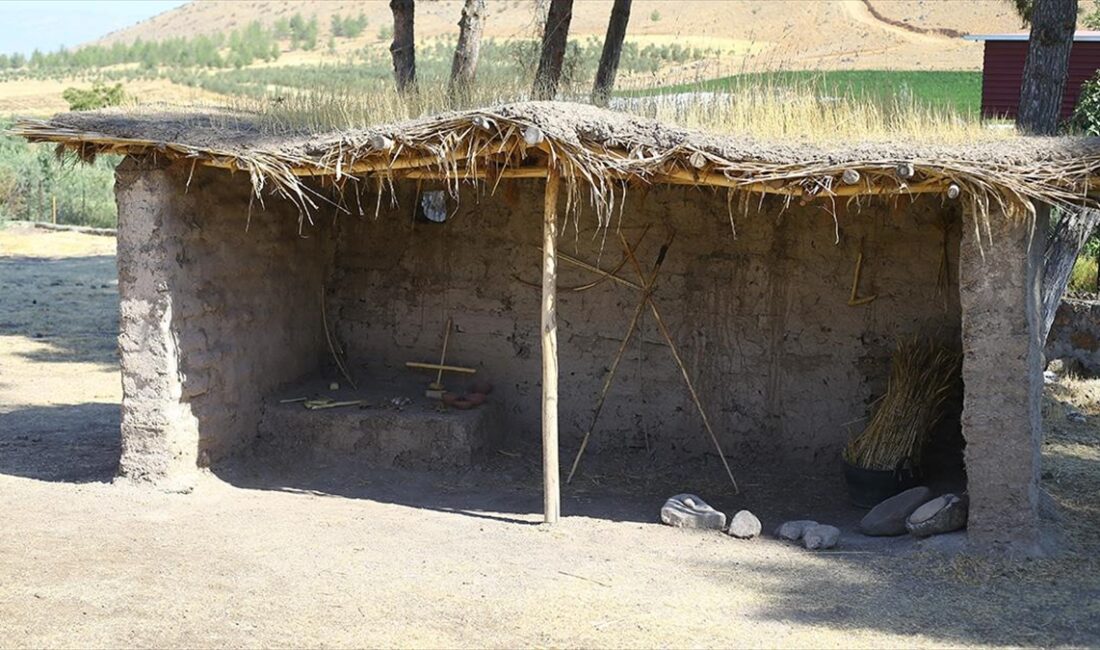 Kahramanmaraş'ta Türkoğlu ilçesindeki Domuztepe Höyüğü'ndeki kazılarda bulunan örneklerden esinlenilerek inşa