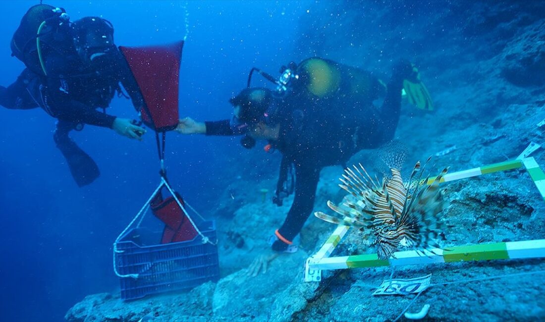 Antalya kıyısında 3 bin 600 yıl önce battığı belirlenen gemide
