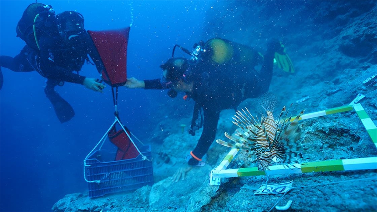 Antalya kıyısında 3 bin 600 yıl önce battığı belirlenen gemide