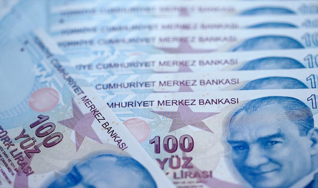 Düzenleyici ve denetleyici kurumların 2024 yılı bütçesinden alacağı pay 38