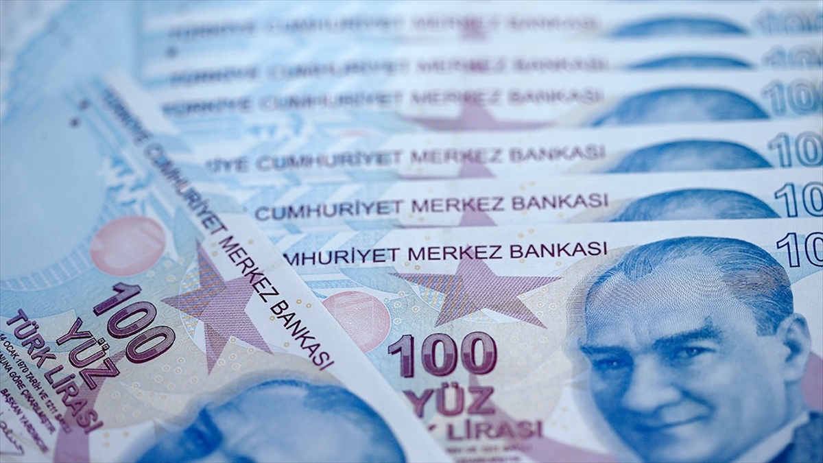 Düzenleyici ve denetleyici kurumların 2024 yılı bütçesinden alacağı pay 38