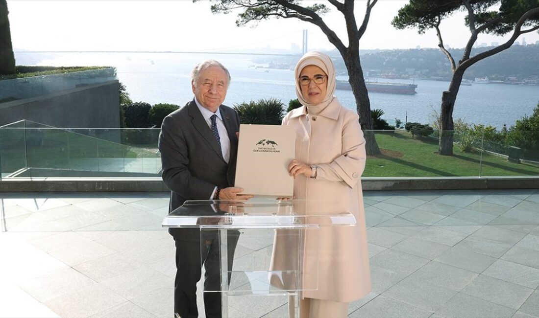 Cumhurbaşkanı Recep Tayyip Erdoğan'ın eşi Emine Erdoğan, Birleşmiş Milletler (BM)