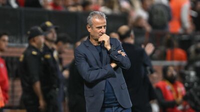 Türkiye Futbol Federasyonu (TFF) Hukuk Müşavirliği, Fenerbahçe Teknik Direktörü İsmail