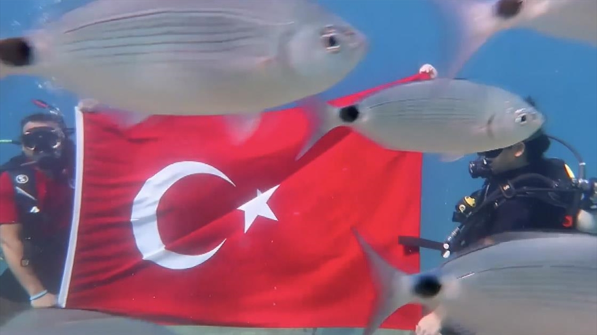 MUĞLA (AA) – İlçede dalış okulu işleten Önder Diktaş ile