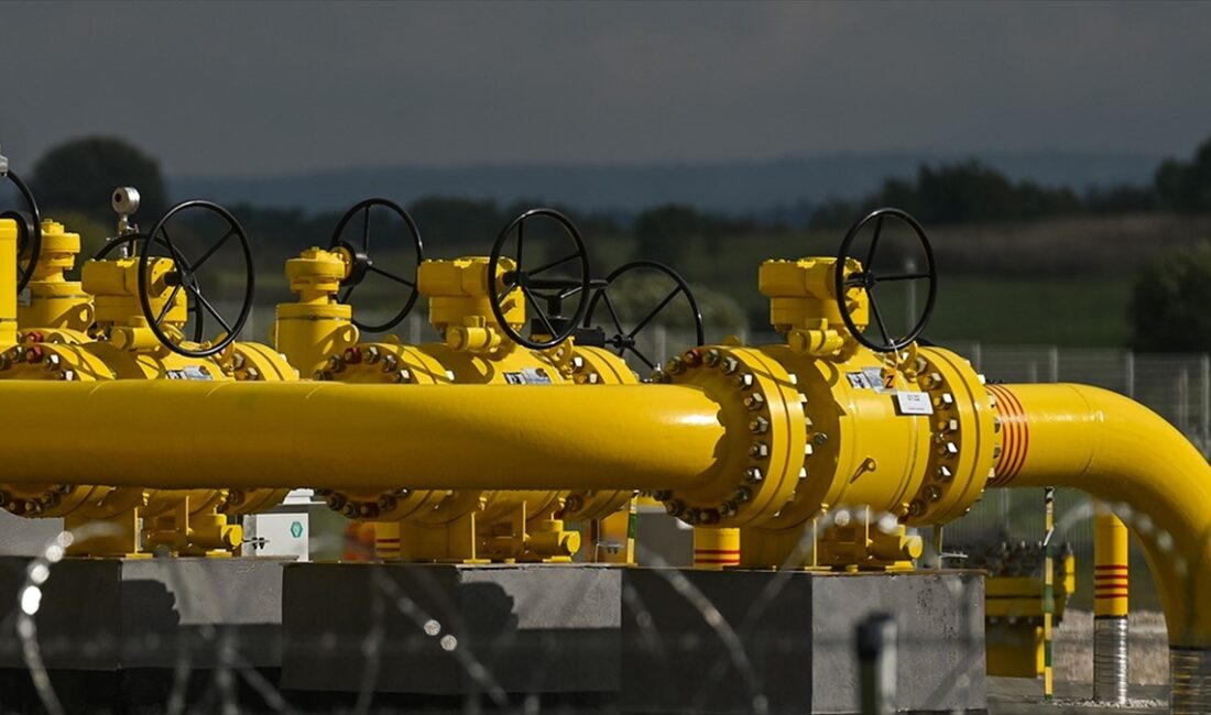 OECD başekonomisti Lombardelli, "Gıda ve enerji fiyatlarının birçok ülkede tüketici