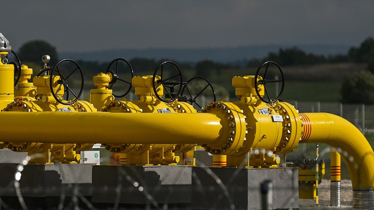 OECD başekonomisti Lombardelli, "Gıda ve enerji fiyatlarının birçok ülkede tüketici