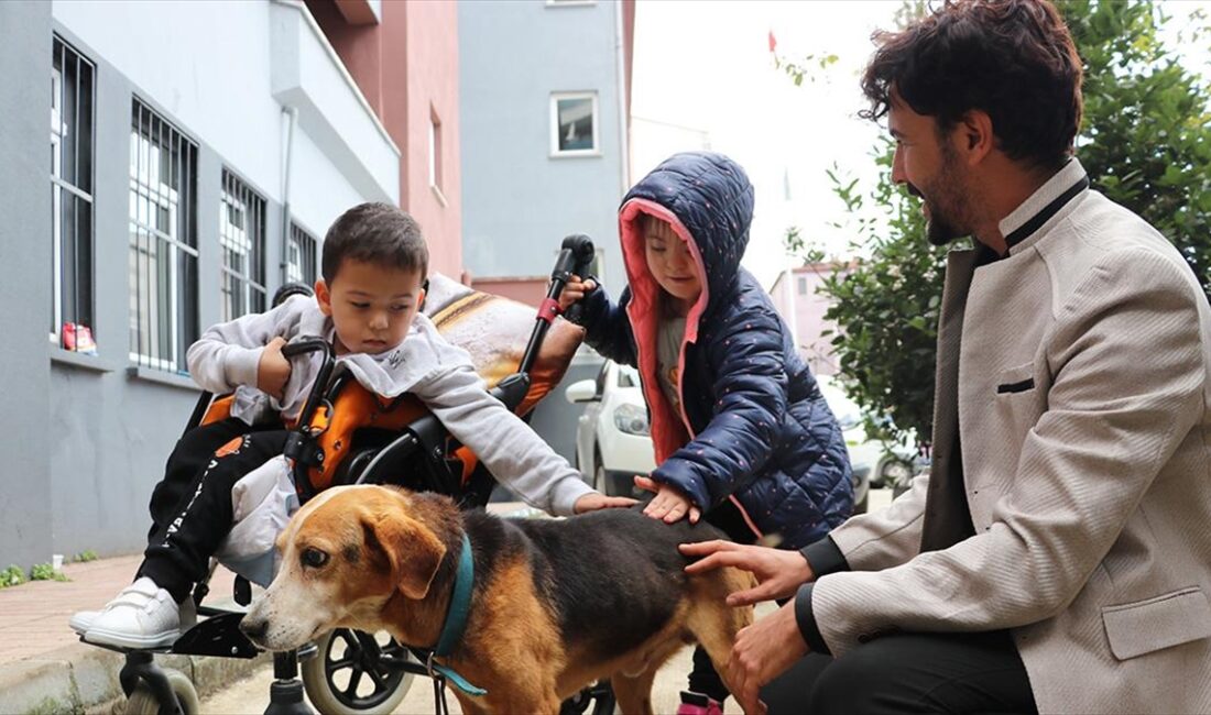 Zonguldak'taki Uzunmehmet Özel Eğitim Uygulama Okulu'nun öğretmen ve öğrencileri, katarakt