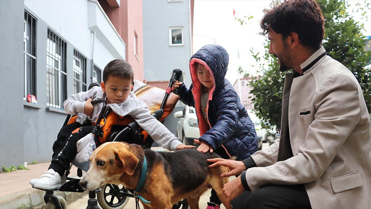 Zonguldak'taki Uzunmehmet Özel Eğitim Uygulama Okulu'nun öğretmen ve öğrencileri, katarakt