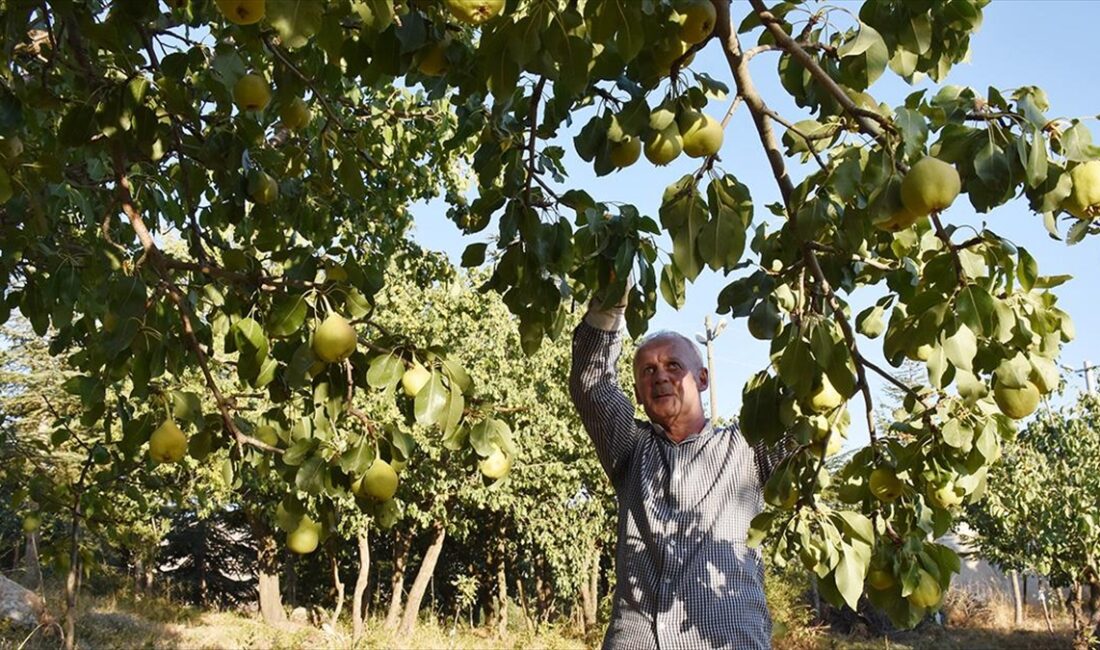 İki üniversite mezunu 58 yaşındaki Talat Özbek, yıllar sonra döndüğü