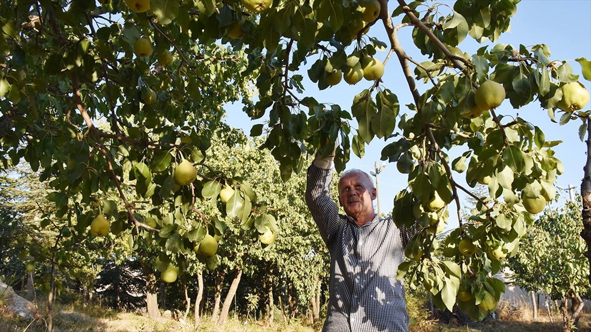 İki üniversite mezunu 58 yaşındaki Talat Özbek, yıllar sonra döndüğü