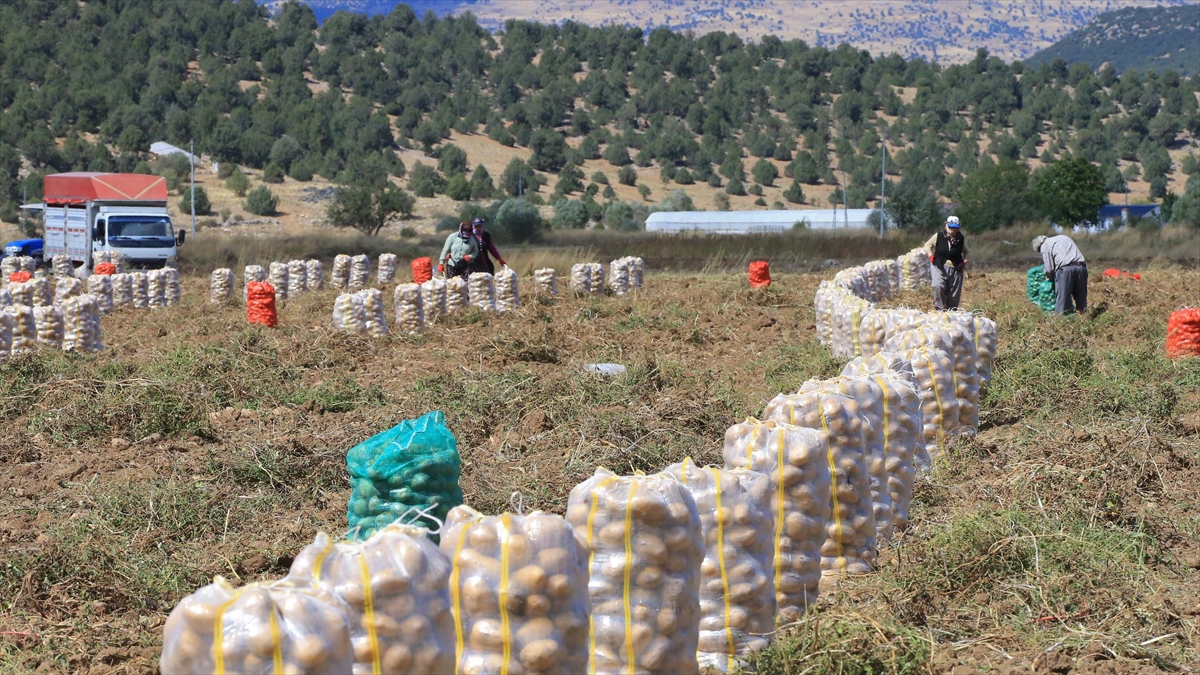 Muğla Tarım ve Orman Müdürü Barış Saylak, kentte yılın her