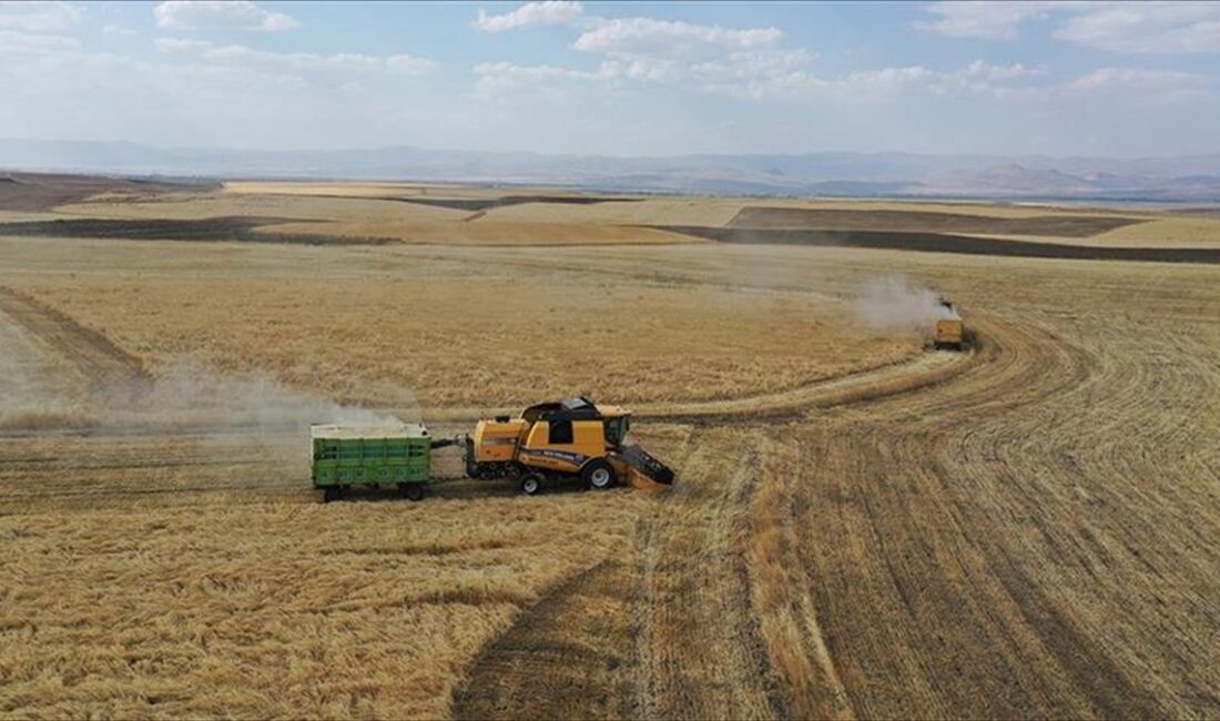 ANKARA (AA) – “Hububatta 2023 Üretim Yılı Mazot ve Gübre