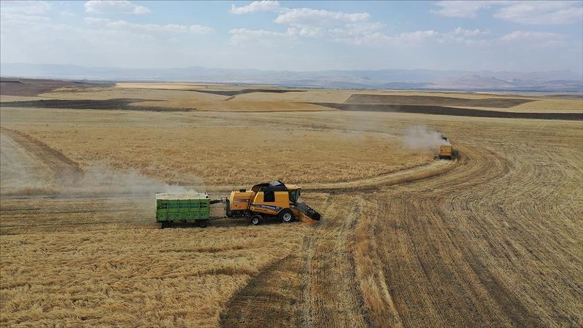 ANKARA (AA) – “Hububatta 2023 Üretim Yılı Mazot ve Gübre