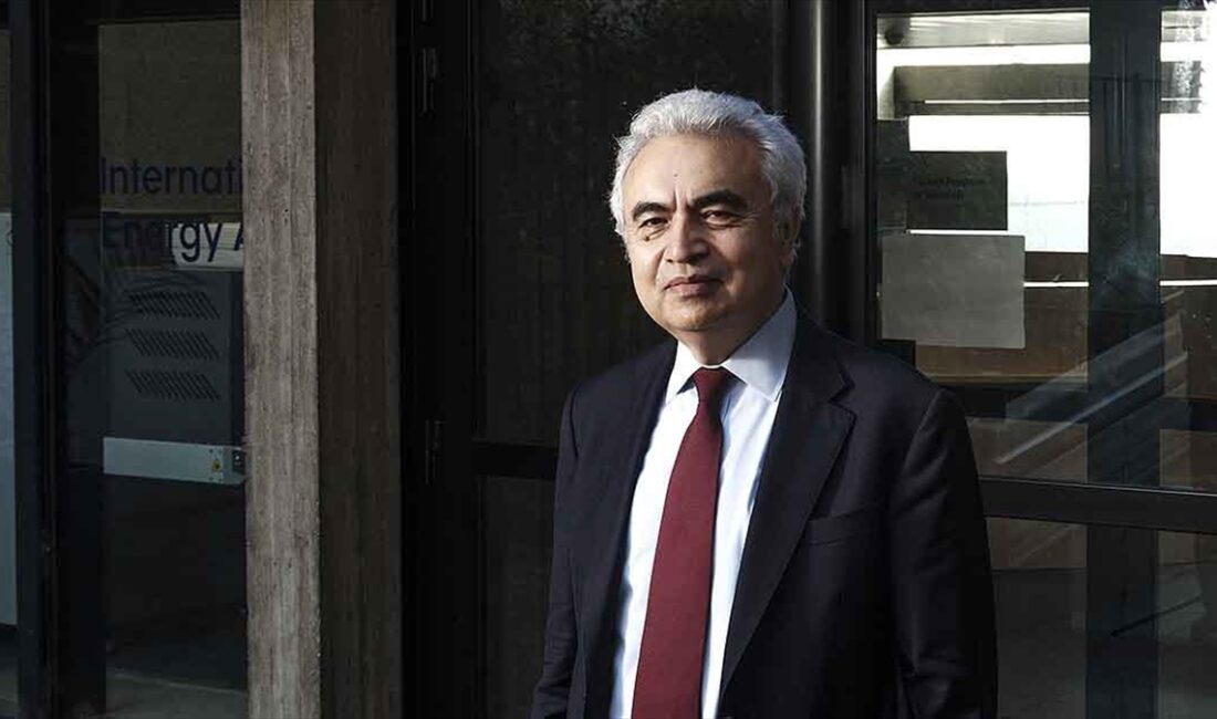 Uluslararası Enerji Ajansı (IEA) Başkanı Fatih Birol, bütün dünyanın sanayide