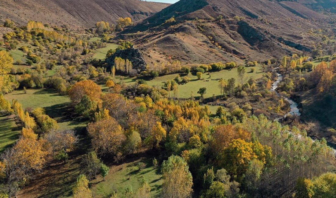 Iğdır'daki Üçkaya Vadisi, sonbaharın birbirinden farklı renklerine büründü.