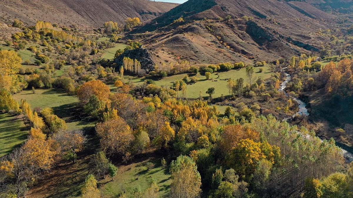 Iğdır'daki Üçkaya Vadisi, sonbaharın birbirinden farklı renklerine büründü.