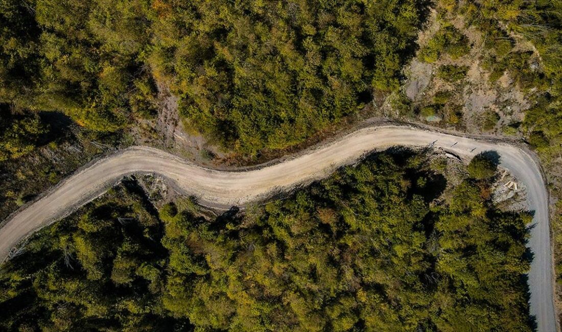 Ilgaz Dağı, ziyaretçilerini sonbahar renkleriyle ağırlamaya başladı.