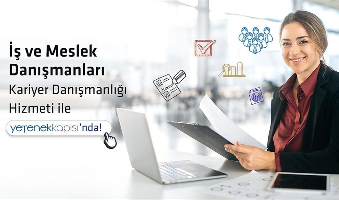 İş ve meslek danışmanları, Cumhurbaşkanlığı İnsan Kaynakları Ofisi tarafından geliştirilen