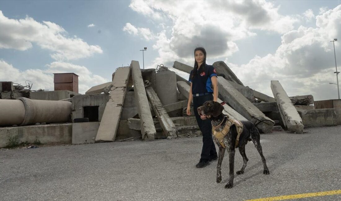 İZMIR (AA) – İzmir Büyükşehir Belediyesinden yapılan açıklamaya göre Bayraklı