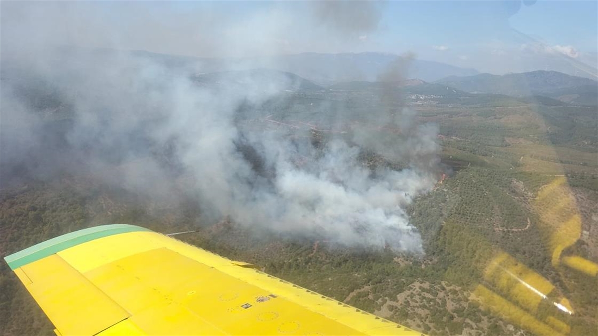 İzmir'in Bayındır ilçesinde ormanlık alanda çıkan yangın kontrol altına alınmaya