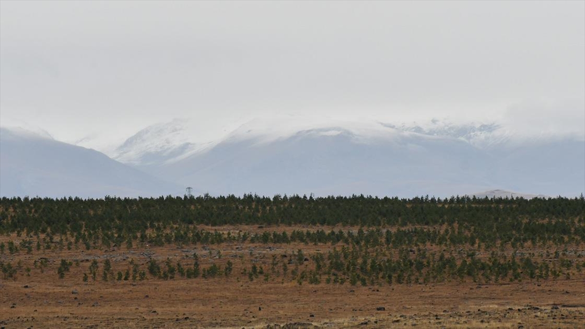 Kars'ın Sarıkamış ve Selim ilçelerinin yüksek kesimlerinde kar etkili oldu.