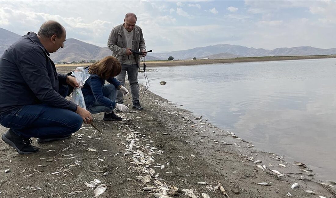 Elazığ'da Keban Baraj gölündeki balık ölümleriyle ilgili inceleme başlatıldı.