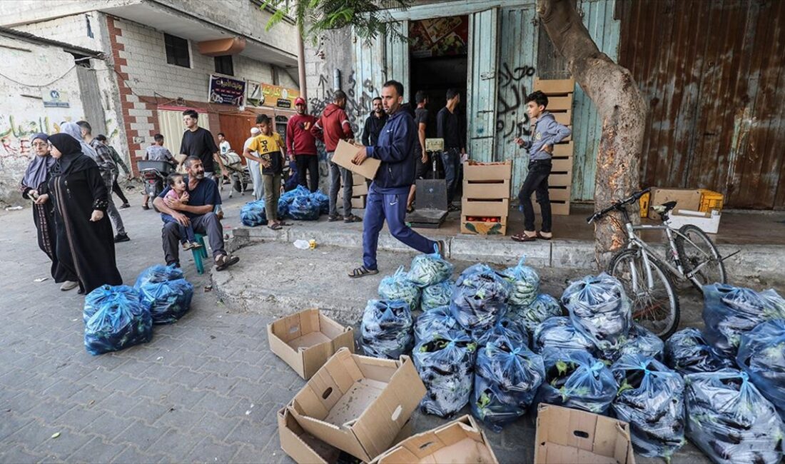 Körfez İşbirliği Konseyi (KİK) ve Güneydoğu Asya Uluslar Birliği (ASEAN)