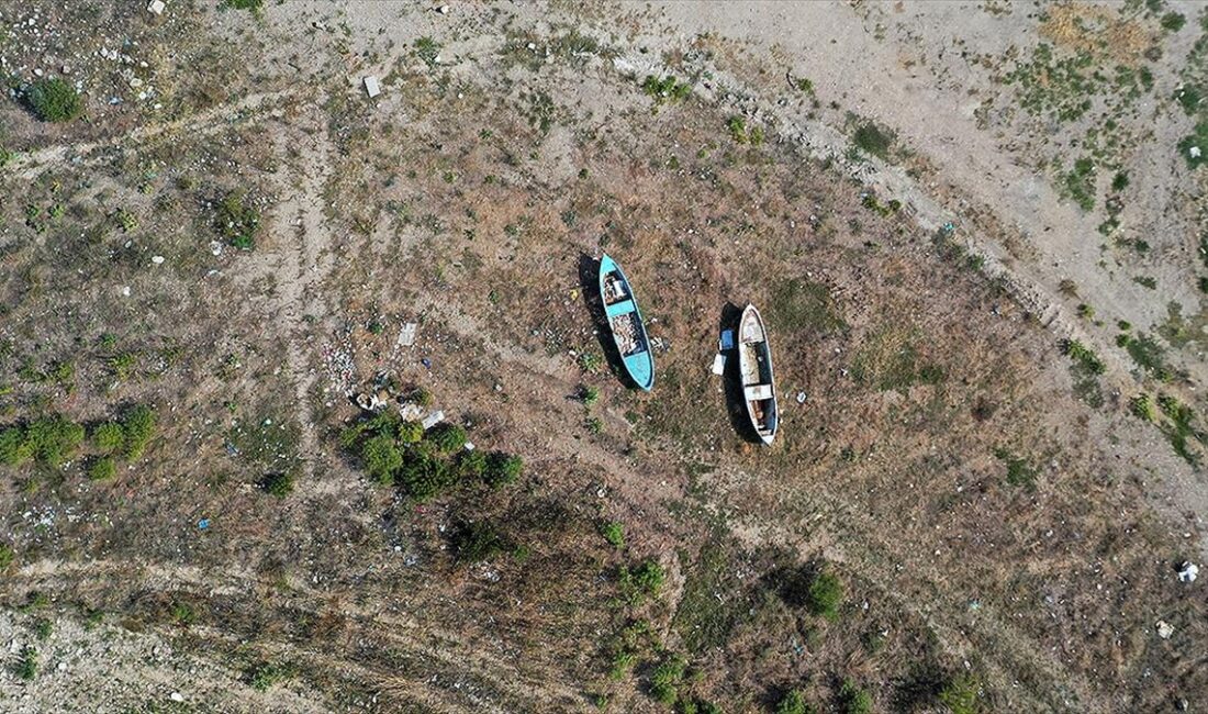 Tekirdağ Namık Kemal Üniversitesi Ziraat Fakültesi Öğretim Üyesi Prof. Dr.