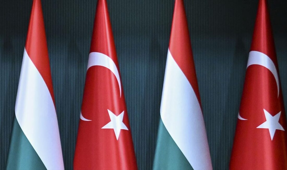Macaristan Avrupa Birliği (AB) İşleri Bakan Yardımcısı Barna Pal Zsigmond,