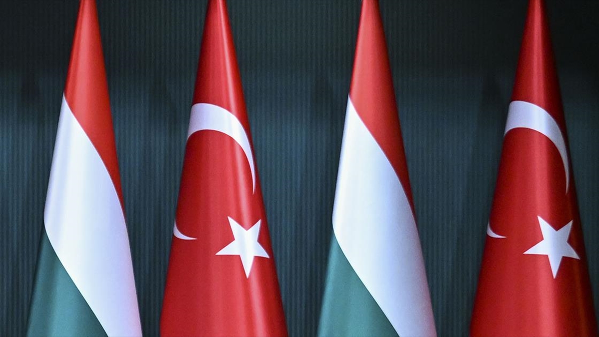 Macaristan Avrupa Birliği (AB) İşleri Bakan Yardımcısı Barna Pal Zsigmond,