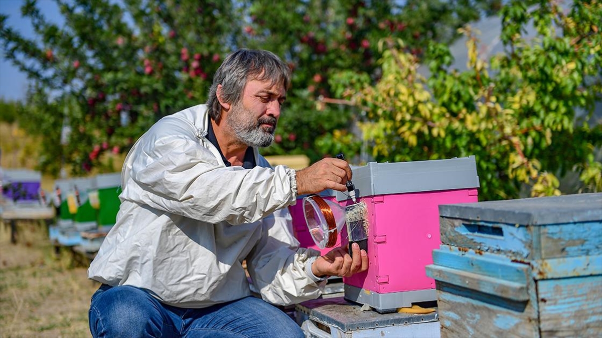 Van Yüzüncü Yıl Üniversitesi bünyesinde yürütülen çalışmada yüksek gerilim hattı
