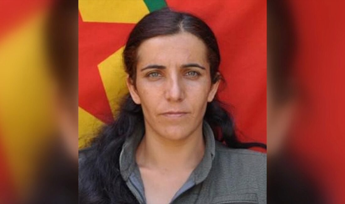 MİT, terör örgütü PKK/KCK'nın sözde sorumlularından Sariye Atilla'yı, Irak'ın kuzeyindeki