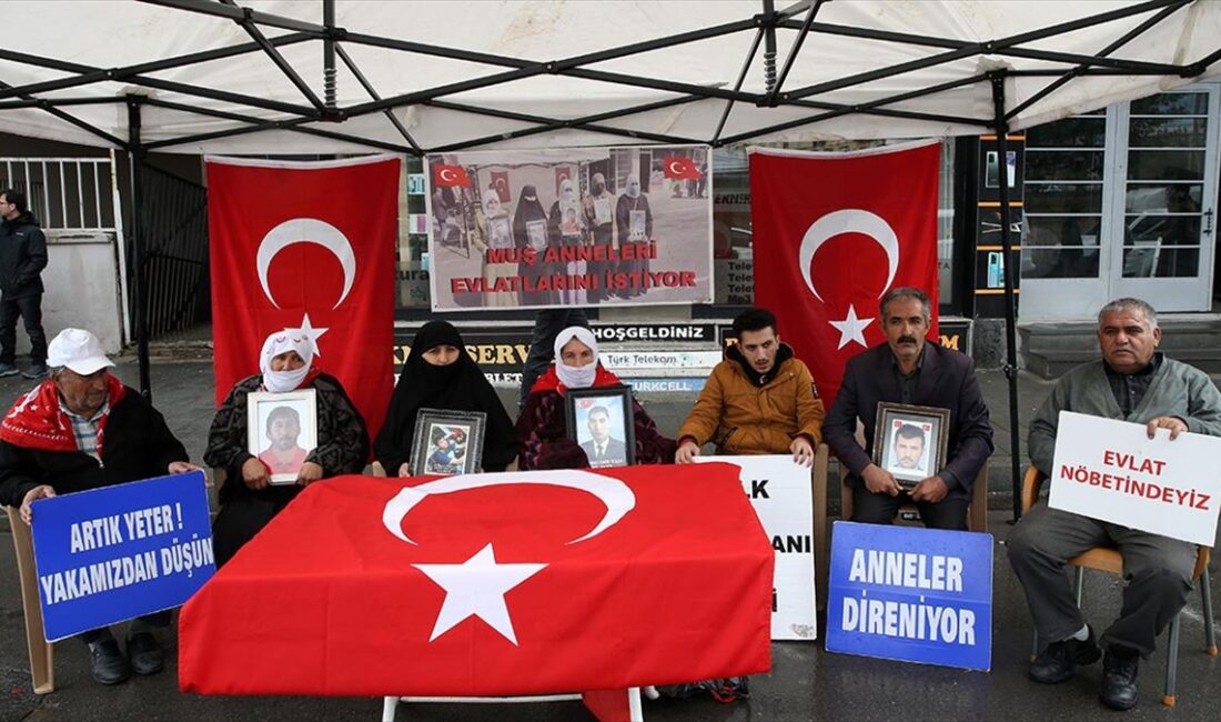 Muş'ta çocuklarının terör örgütü PKK tarafından dağa götürülmesinden HDP'yi sorumlu