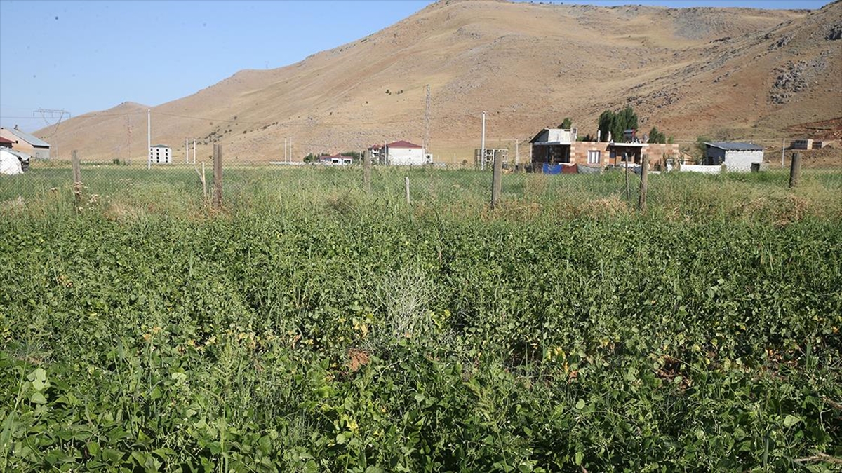 Tarım ve Orman Bakanlığı Bitkisel Üretim Genel Müdürlüğünün yürüttüğü Tarım