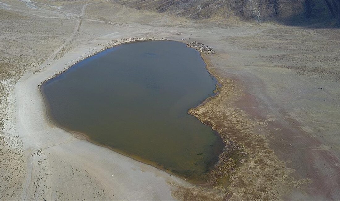 Bitlis'in Tatvan ilçesinde göçerler, yaz aylarında geldikleri Nemrut Dağı eteklerinde