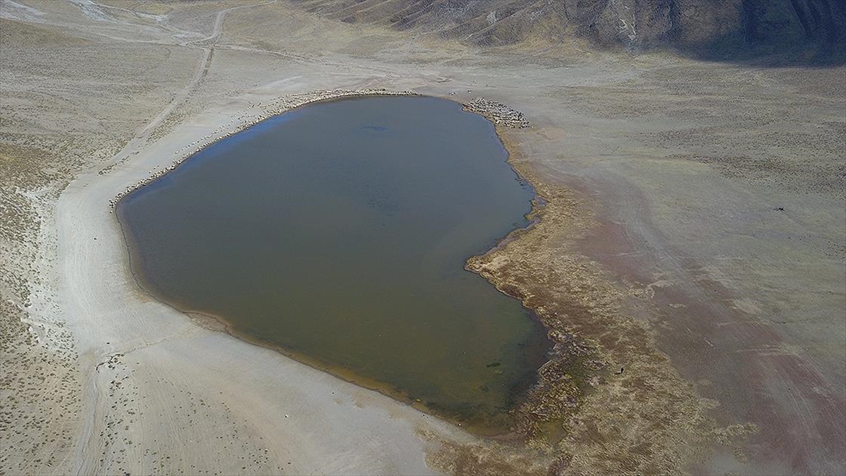 Bitlis'in Tatvan ilçesinde göçerler, yaz aylarında geldikleri Nemrut Dağı eteklerinde